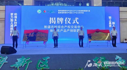 攜手并進 新疆農村改革新篇章，產權交易中心與產銷聯盟共啟農產品貿易新紀元